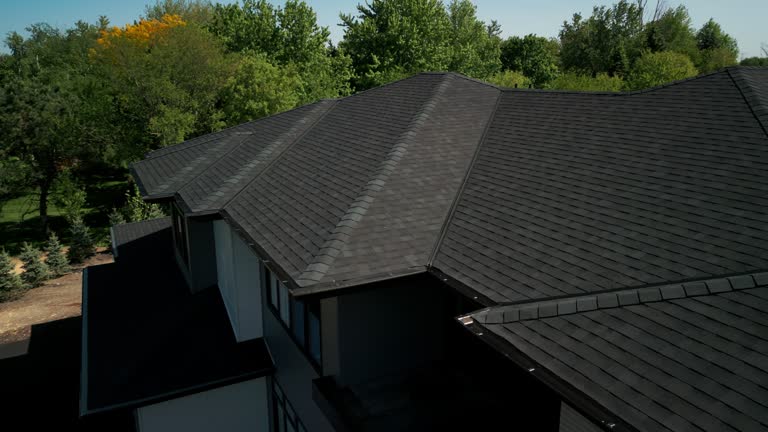 Best Sheet Metal Roofing  in Hanapepe, HI